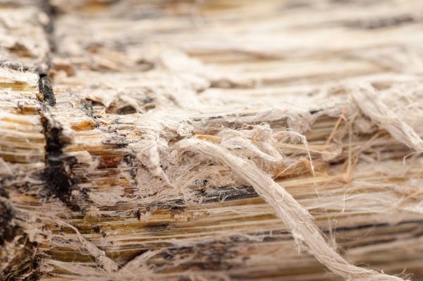 Vermiculite Remediation in Acworth